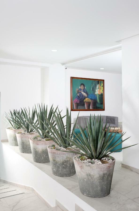 Hotel Circulo Condesa Mexico-stad Buitenkant foto